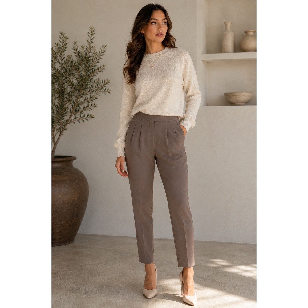 T. Babaton Aritzia Taupe Pleated Ankle Pants Size 0 Career Office Trousers
